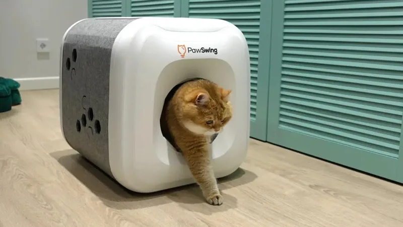 PawSwing Neo ile tanışın