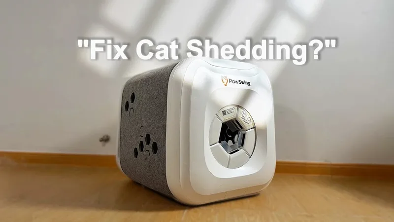 PawSwing Neo gerçekten nasıl çalışıyor?