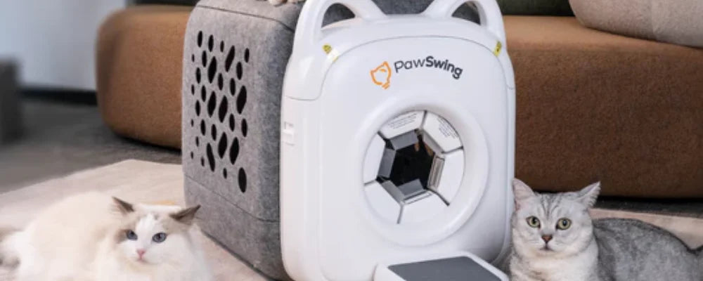 Yenilikçi PawSwing® akıllı bakım istasyonu ve tüy dökmeye yönelik kedi fırçası, iki kediyle birlikte temiz ve modern bir evcil hayvan bakımı çözümünü vurguluyor