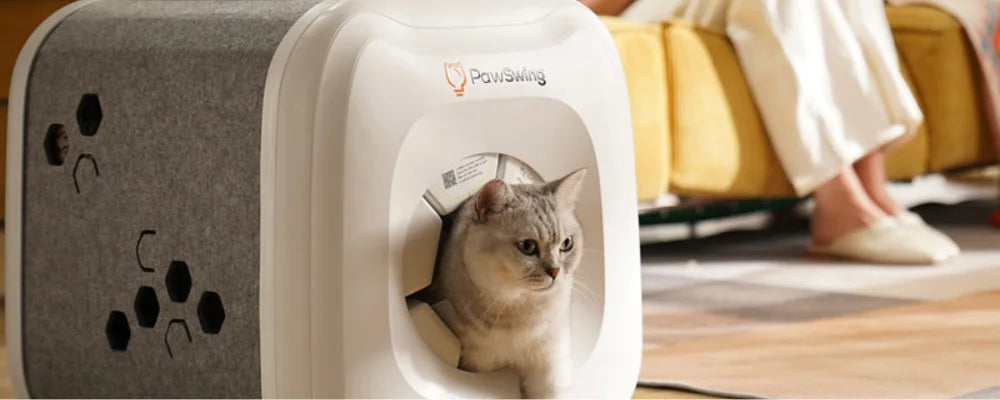 Bir kedi PawSwing'in kendi kendini temizleyen kedi evinde dinlenirken bir diğeri rahat bir oturma odasına giriyor
