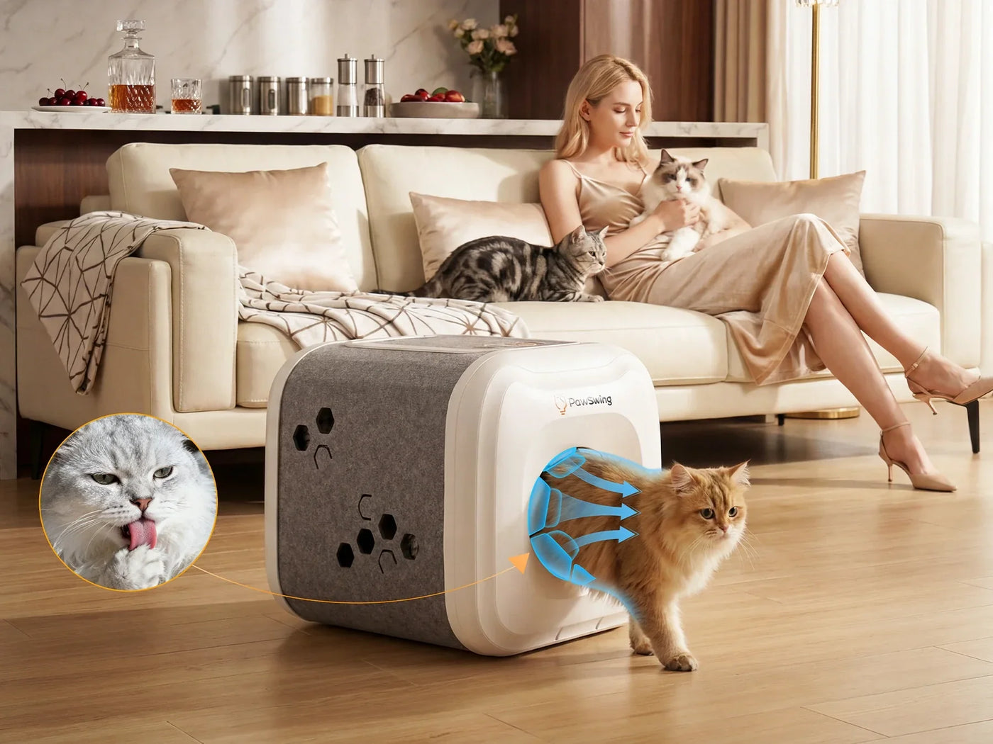 PawSwing kedi bakım evi nedir, nasıl bir çözüm sunar?