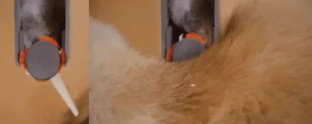Kendi kendini temizleyen bir kedi evinin içindeki, kedi tüyünü fırçalayan biyonik silikon dişlerin yakın çekim detayı