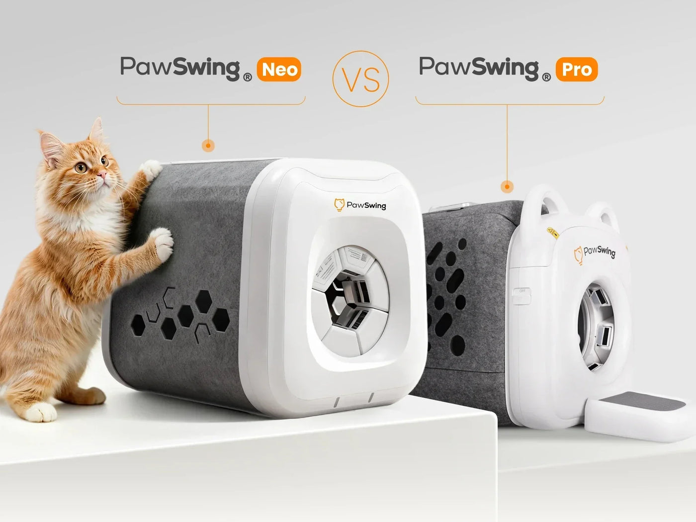 PawSwing Neo ve Pro: Hangisini seçmelisiniz?