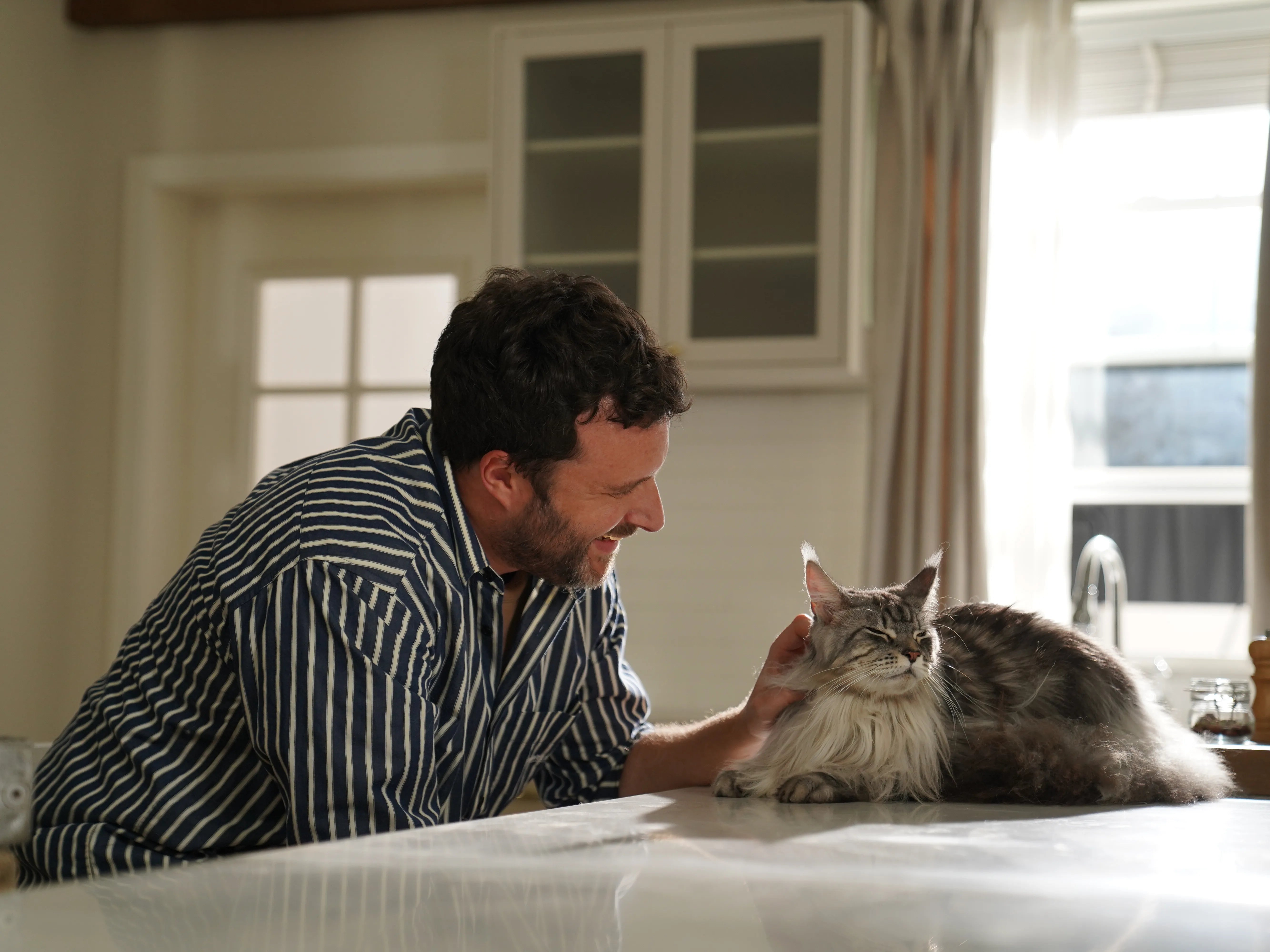 Kedi Sahibi Olmanın Faydaları Kedilerin Harika Evcil Hayvanlar Olmasının 8 Nedeni
