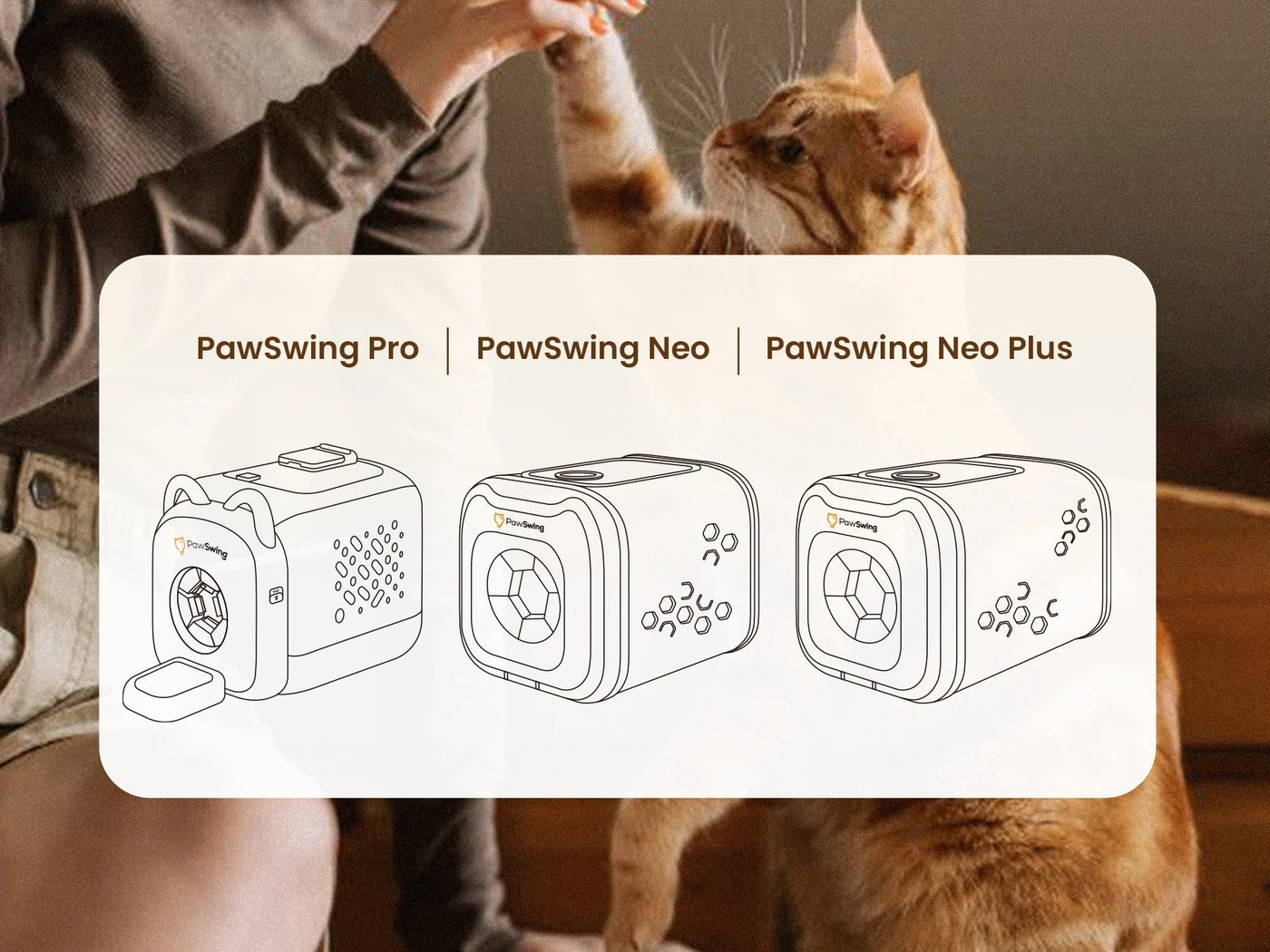 PawSwing Pro, Neo ve Neo Plus nasıl kurulur?
