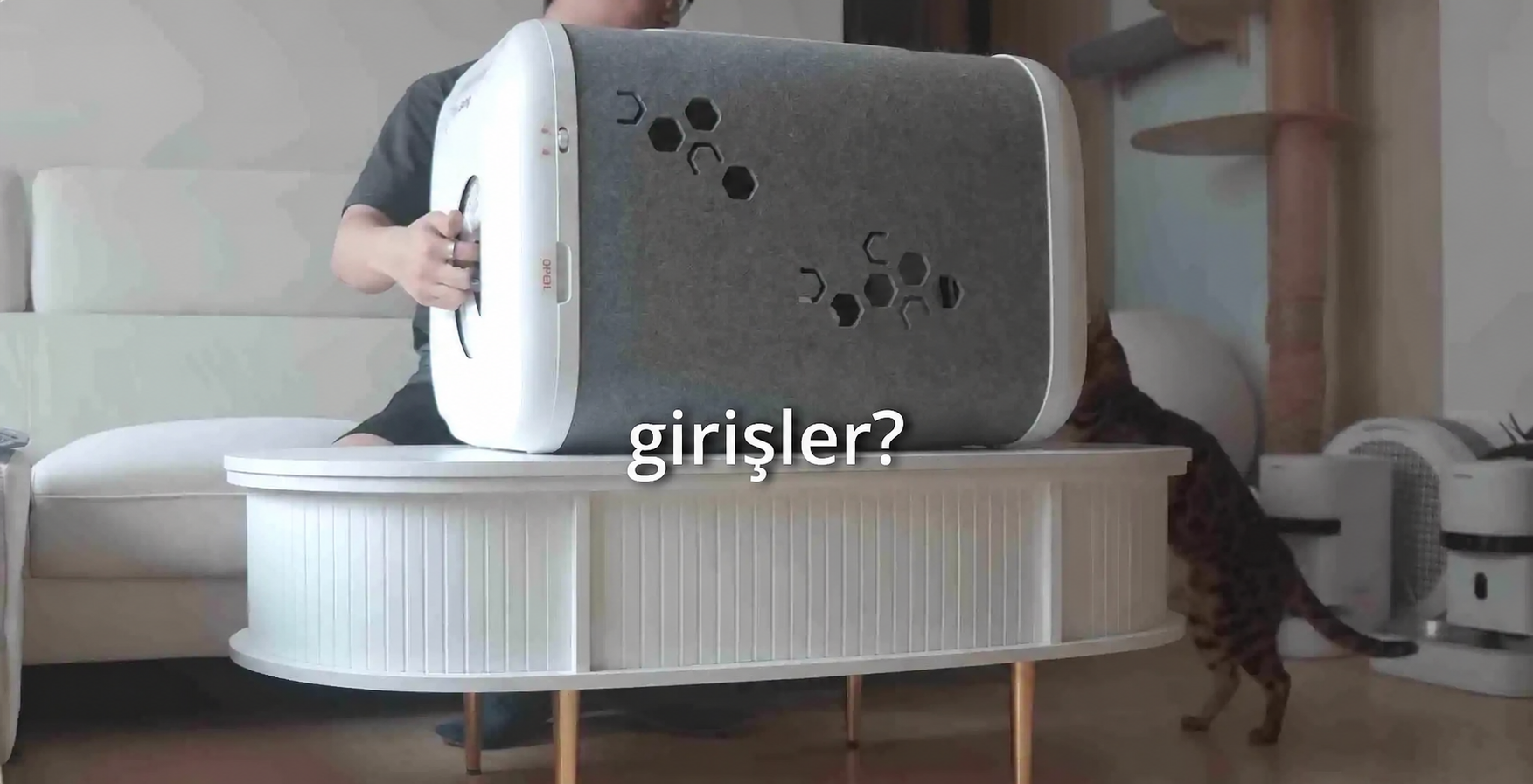 Gerçek dünyadaki çoklu kedi bakım testi için iki giriş içeren PawSwing Neo Plus prototipi