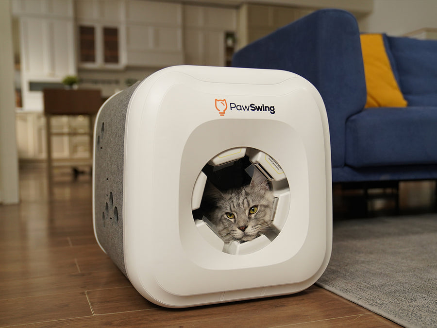 PawSwing Neo içinde sakin biçimde dinlenen kedi